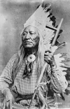 Unknown: Washakie, Shoshone chief