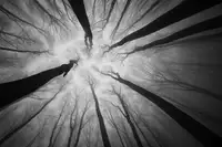 PhotoCosma: Claustrophobia