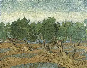 Gogh, Vincent van: Olive trees