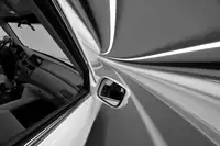 Work, Robert: My Dog's Point of View