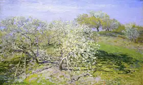 Monet, Claude: Spring - fruit trees in bloom