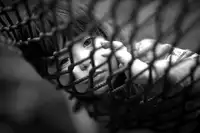 Rozenzvig, Carmit: Free your mind