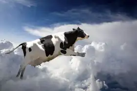 Unknown: Super cow flying over clouds