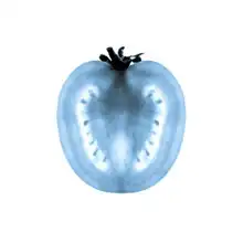 Unknown: X-ray tomato
