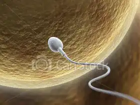 Unknown: Sperm and egg