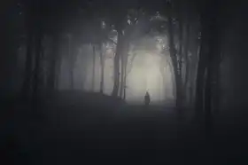 Unknown: Strange figure in a haunted forest