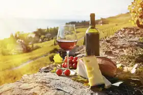 Unknown: Red wine, cheese, bread and tomatoes