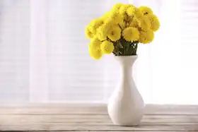 Unknown: Flowers in vase