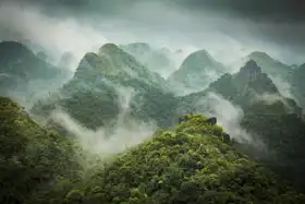 Unknown: Aerial view of rainforest