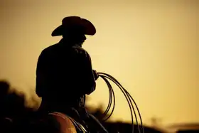Unknown: Cowboy with a lasso