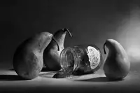 Glinka, Victoria: The sad farewell/ The 3rd part of the jam triptych