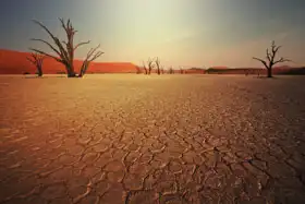 Unknown: Death Valley in Namibia