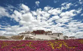 Unknown: Potala Palace in Tibet