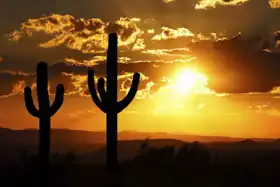 Unknown: Arizona - the desert sun