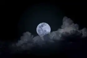 Unknown: Night Moon