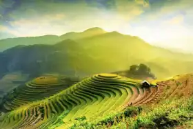 Unknown: Rice fields at Mu Cang Chai, YenBai, Vietnam