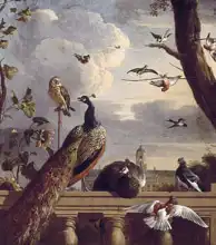 Hondecoeter, Melchior: Birds with balustrades