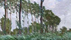 Monet, Claude: Claude Monet Wind Effect Series of Poplars K