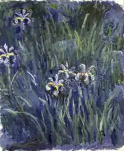 Monet, Claude: Irises