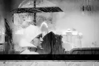 Mitu, Adrian: Untitled