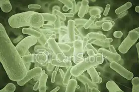 Unknown: Bacteria