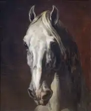 Géricault, Théodore: Tete de cheval blanc