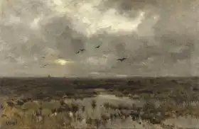 Mauve, Anton: Swamp