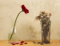 BS., Dani: Upstairs, Downstairs