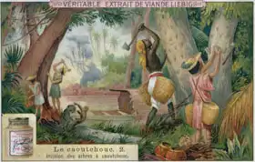 Unknown: Tapping rubber trees, promotional advertising card for Veritable Extrait de Viande Liebig