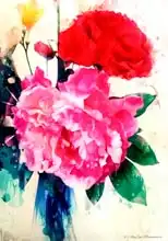 Moonshadow, AlyZe: Peony and Poppy
