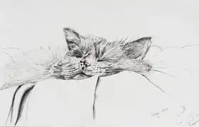 Alexander Booth, Vincen: Monty sleepy boy