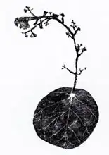 Larsson, Carl: Unknown