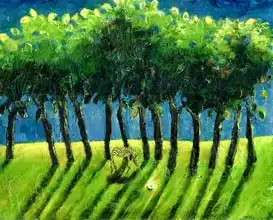Sudbury, Gig: Zebra Trees