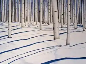 Palmer, Tin: Snow Covered Woods