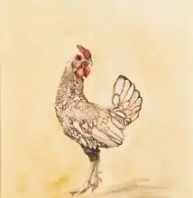 Sanders, Francesco: Lacewing chicken 9)