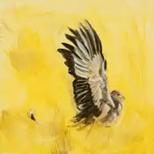Sanders, Francesco: Secretary bird hunting
