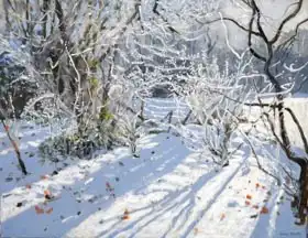 Macara, Andre: Hoar Frost