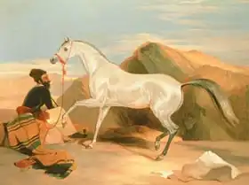 Landseer, Edwin: Arab Stallion