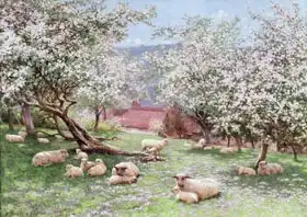 Gardner, William Biscombe: Appleblossom