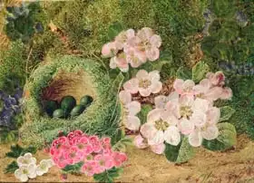 Clare, Oliver: Primroses by a Bird