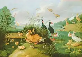 Kessel, Jan van, the elder: Decorative fowl and ducklings