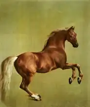 Stubbs, George: Whistlejacket
