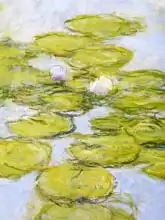 Monet, Claude: Nympheas, 1916-19