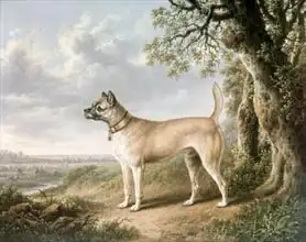 Towne, Charles: A Terrier on a path in a wooded landscape