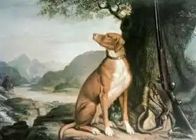 Sartorius, J. Francis: G. M. Johnston