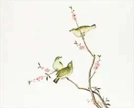 Chinese school: White-Eye bird, Ch
