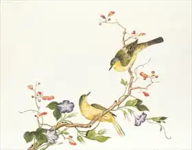 Chinese school: Yellow Wagtail with blue head, Ch