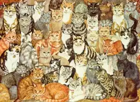 Ditz: Cat-Spread