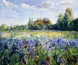 Easton, Timoth: Evening at the Iris Field