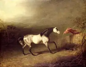 Gilpin, Sawrey: The Grey Arab